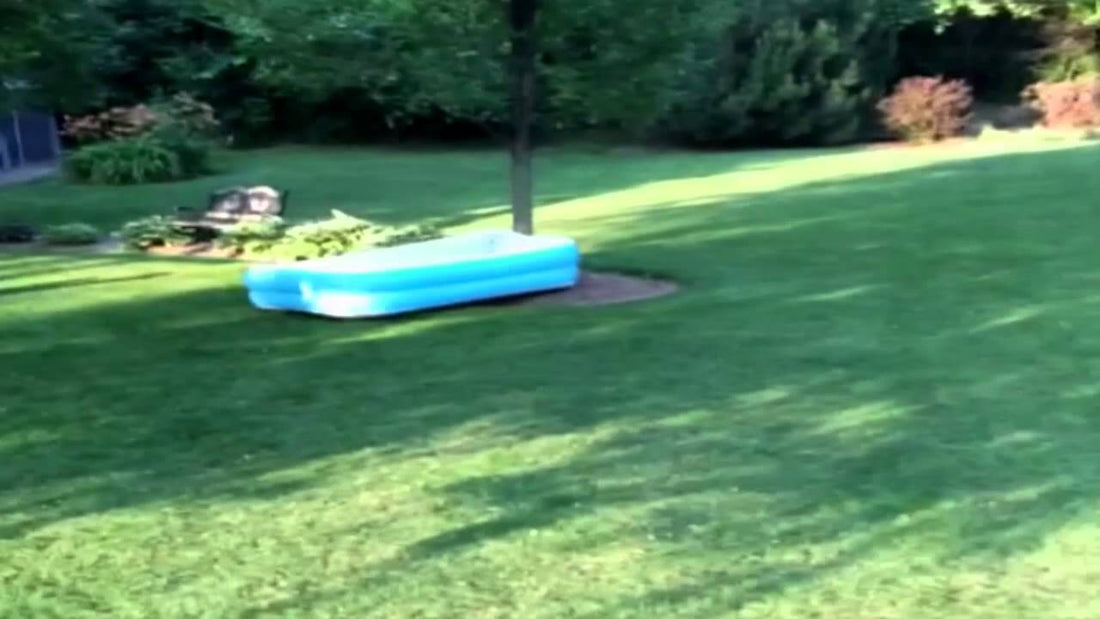 Adorable Labrador Pup Runs Away With An Inflatable Pool!