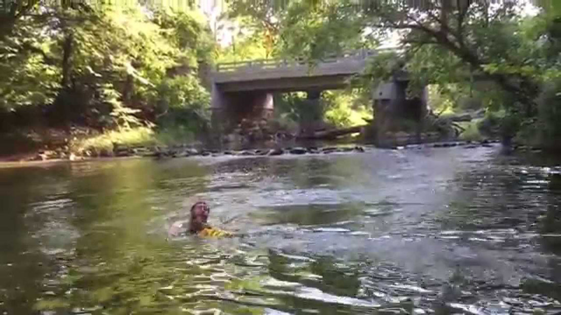 Ammo The Dachshund Saves A Man From Drowning! He's A #Powerhouse!