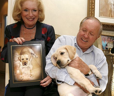 Couple Spend $150,000 To Clone Their Beloved Labrador Pup After He Passes Away