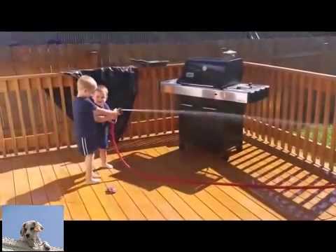 Kids Play With Their German Shepherd And Garden Hose And It's Adorable!