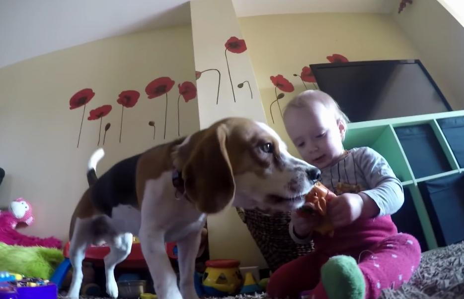 The Bond Between This Baby And Her Beagle Will Make You Say Awwww!