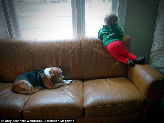 The Boy Who Wrote To His Beloved Beagle In 'Doggie Heaven' Gets A Mysterious And Heartwarming Reply!
