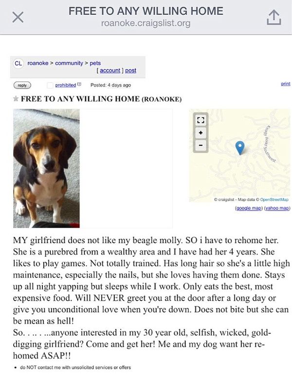 This Is Hilarious! Man Chooses Beagle Over Girlfriend In This Craigslist Post!