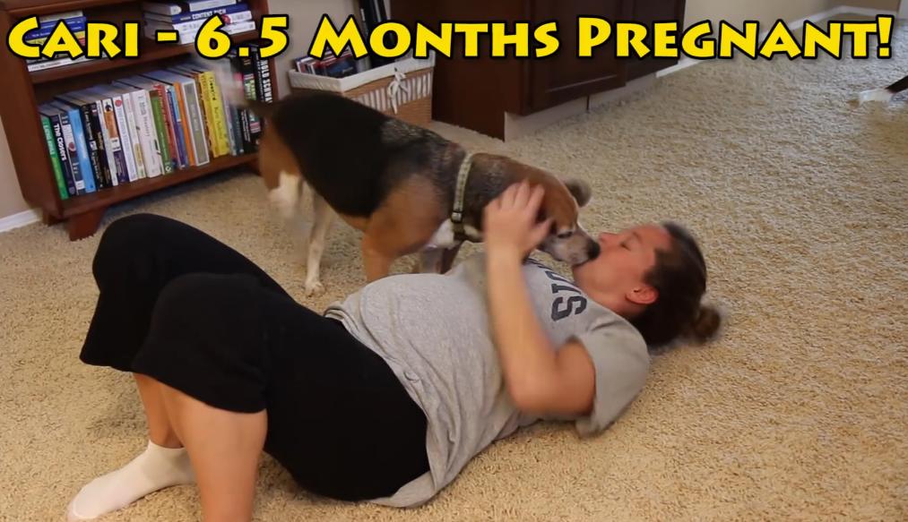 You Gotta See This! Genius Beagle Detects Baby Growing Inside Pregnant Mom!