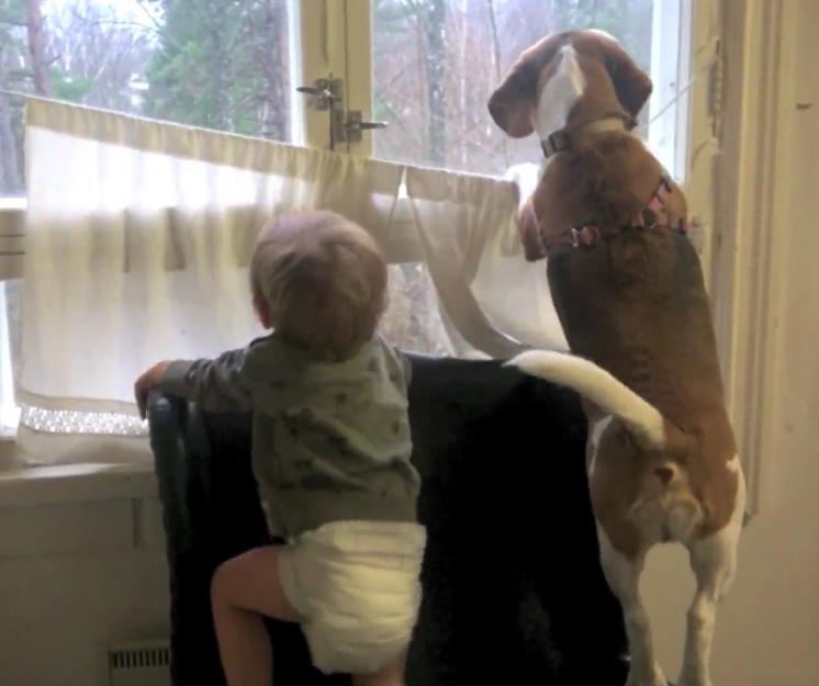 Cuteness Overload! Beagle And Baby Are The Cutest Best Friends Ever!