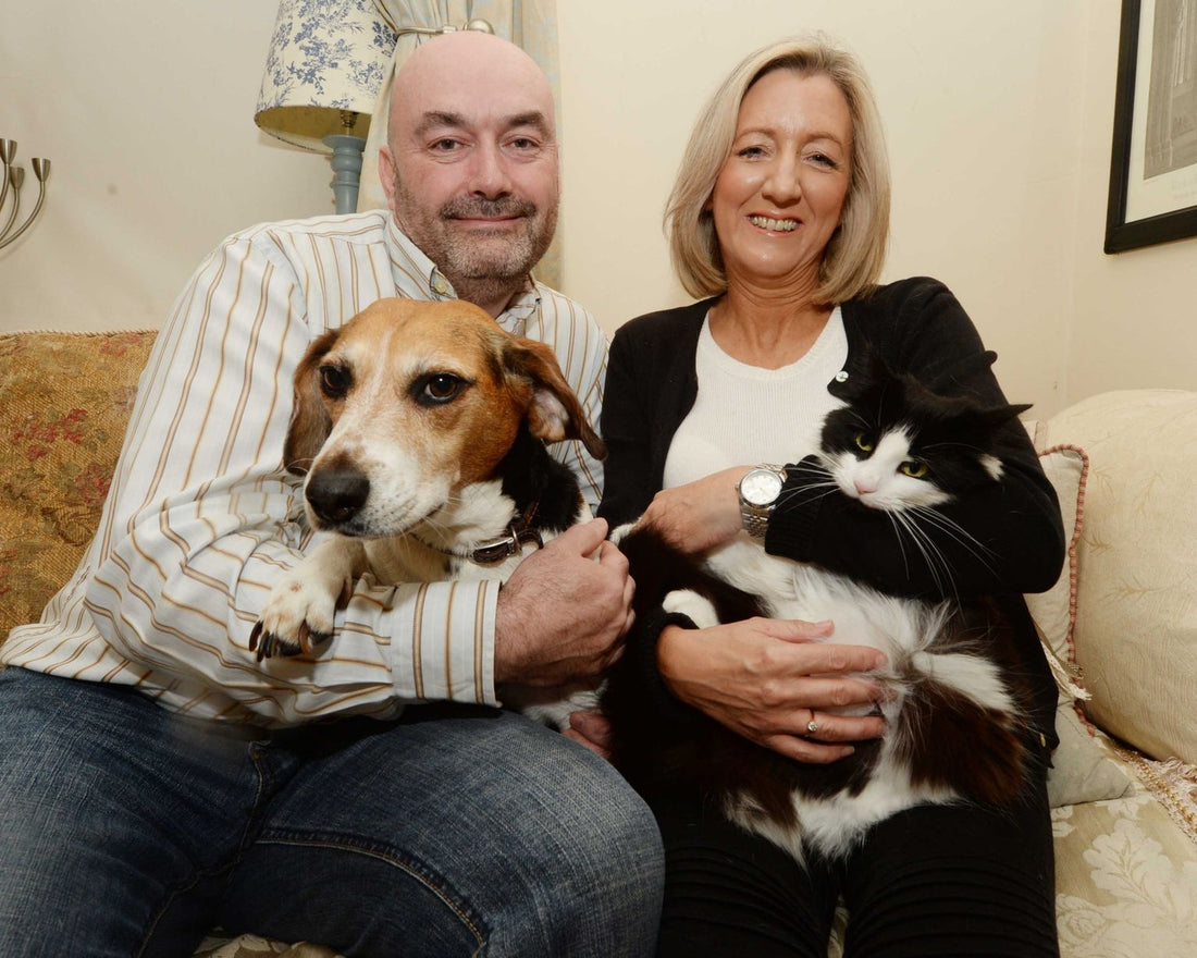 Beagle Saves A Cat From Death In Barbed Wire!