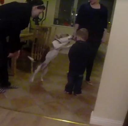 This Child Wasn’t Expecting This From An Overly Excited Beagle!