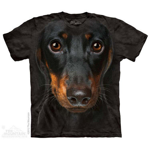 5 Perfect Gifts For Any Dachshund Person
