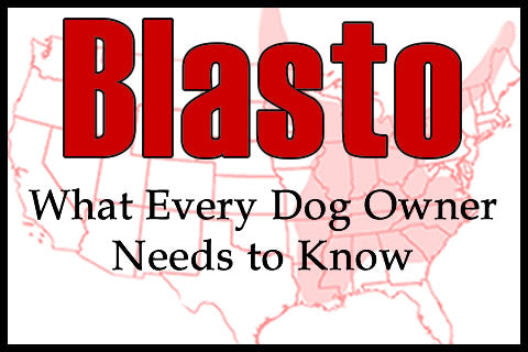 [ALERT] Dog Owners Worried As More Cases Of Blastomycosis In Fox Valley Emerge