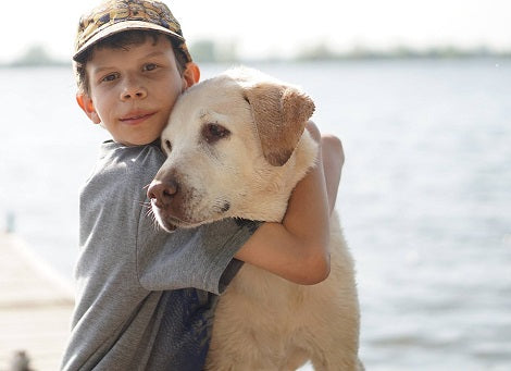 Choosing The Right Dog Breed For Your Kids