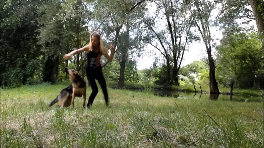 Britney the Shepherd Mix Will Amaze You With Her Tricks!