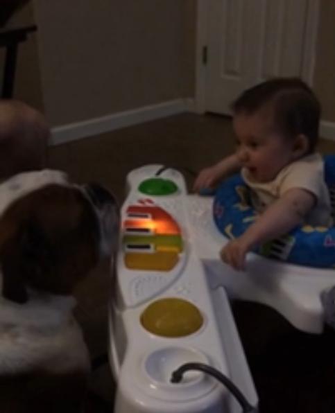 Heartwarming Video Of Lola The English Bulldog And Baby Mila!