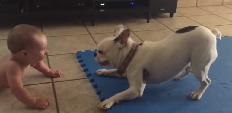 Their Bulldog Is This Kid's Favorite Babysitter And You'll Definitely Understand Why!