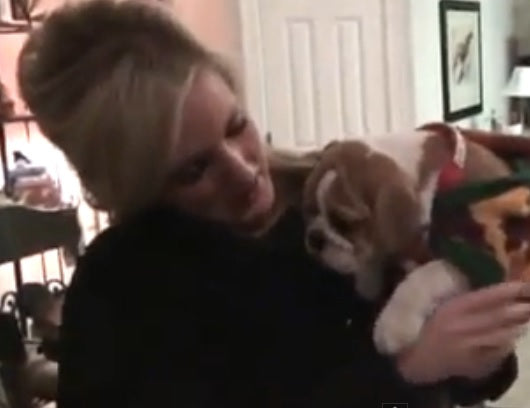This Woman Was Surprised With A English Bulldog Puppy And Her Reaction Was Priceless!