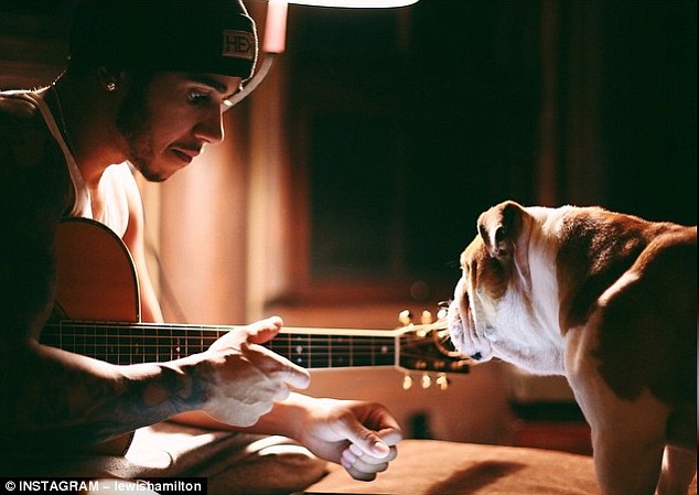 The Formula One World Champion Is Singing With His Bulldog!