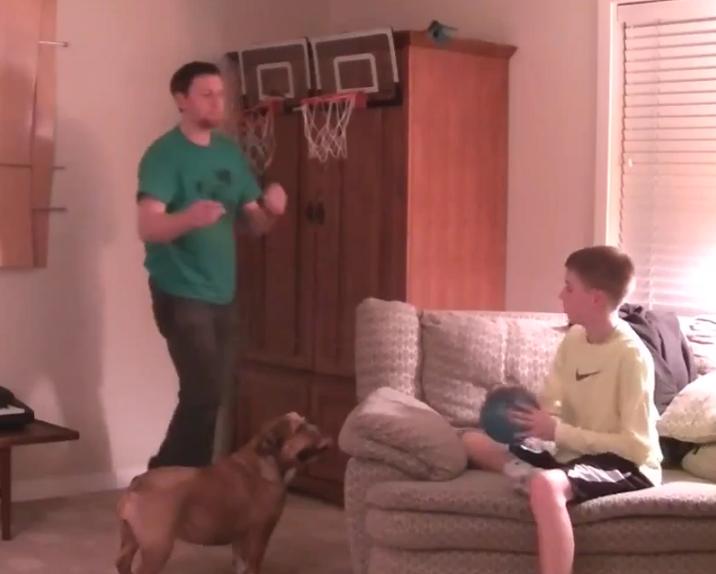 You Have To See This! This Basketball-Loving Bulldog Can Shoot Hoops Like A Pro!