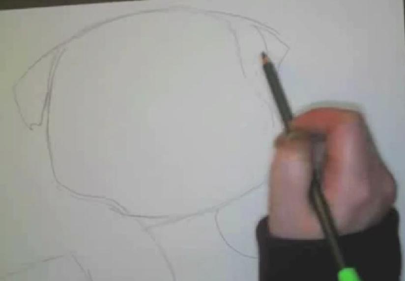 Watch This Video To Learn How To Draw An English Bulldog!