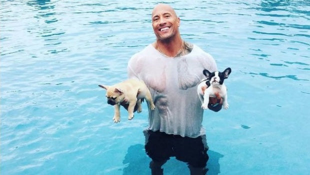 Dwayne Johnson Saves Drowning Bulldog Pups!