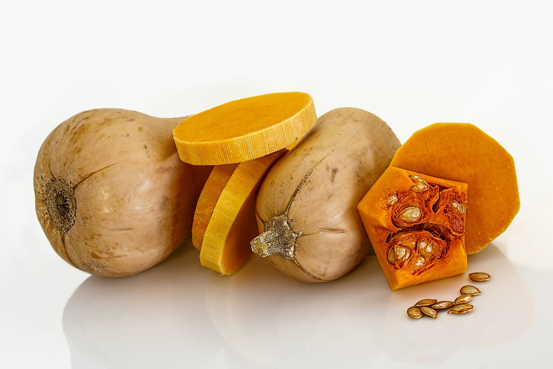 Is It Safe To Feed Dogs Squash?