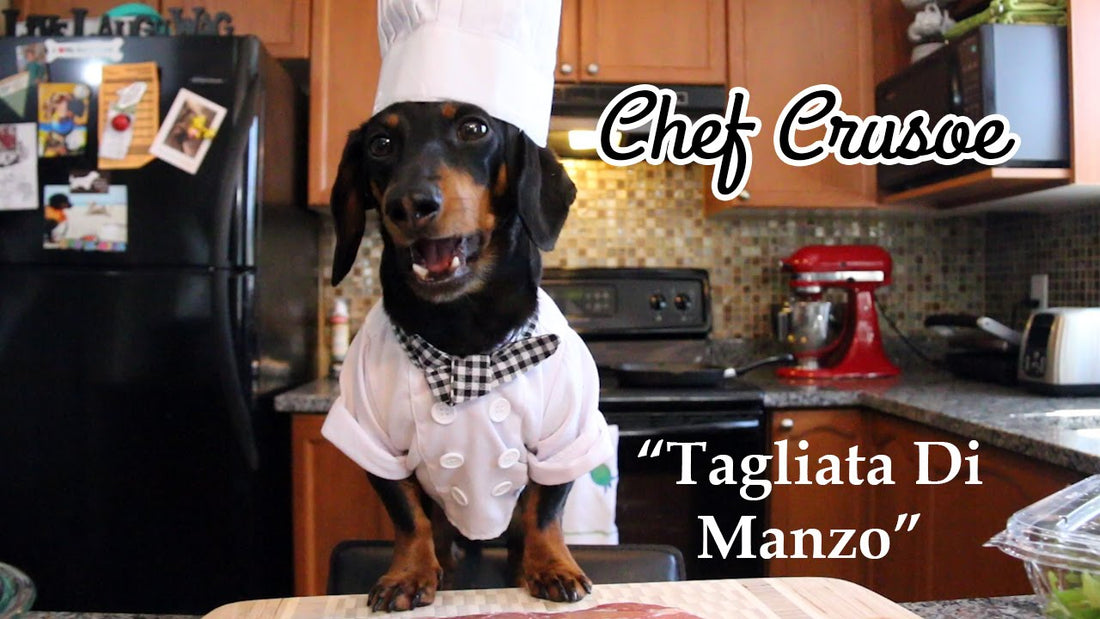 Chef Crusoe, A Dachshund, Follows Recipe by Gino D'Acampo! And It's About To Make Your Mouth Water!