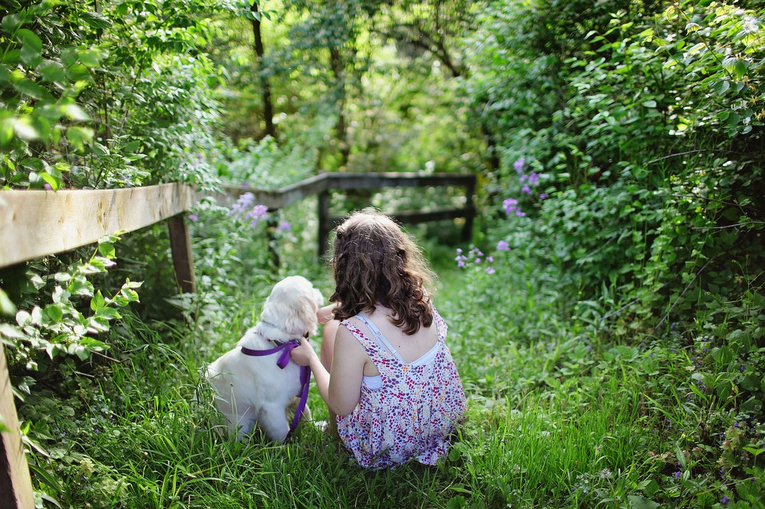 Can I Train My Dog To Be A Therapy Dog?