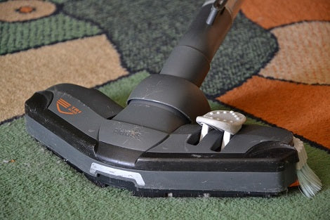 After Spotting Your Pup's Urine, Here's How You Can Effectively Clean It Up!