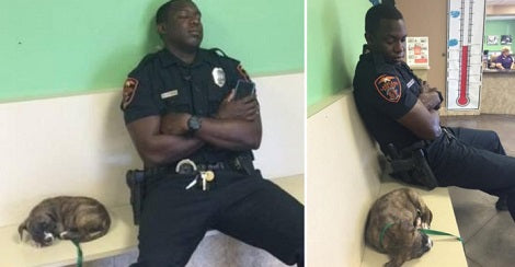 Cop Finds A Stray Puppy Roaming The Neighborhood. What He Does Next? OMG.