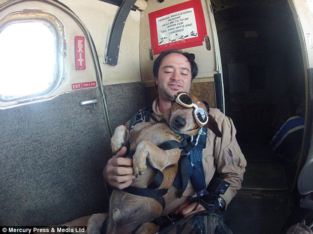 This Dachshund Just Wanted To Go For A Walk, But Ended Up Jumping From 13,000ft Instead!