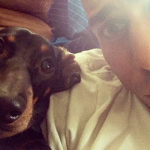 This Little Dachshund Helped His Human To Come Out Of The Closet!