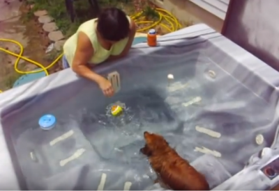 Playing Fetch In The Hot Tub Dachshund Style!