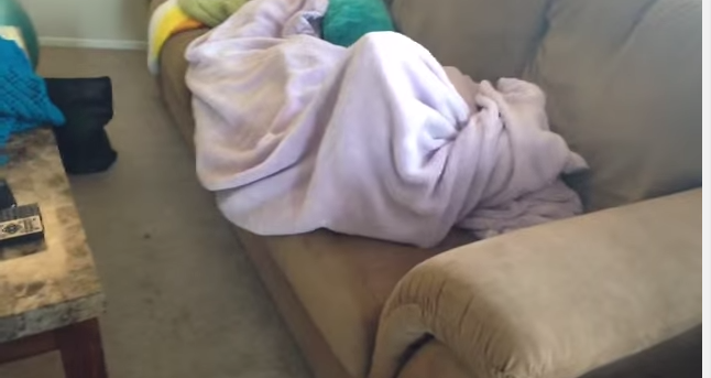 Dachshund Is Hiding From Dad Until She Hears ONE Word!