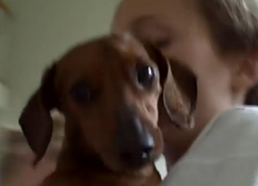 This Dachshund Is Having Her First Bath After Being Adopted!