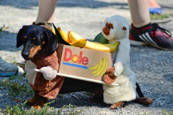 Video: This Wiener Race Might Be The Best Thing To Come Out Of Canada!