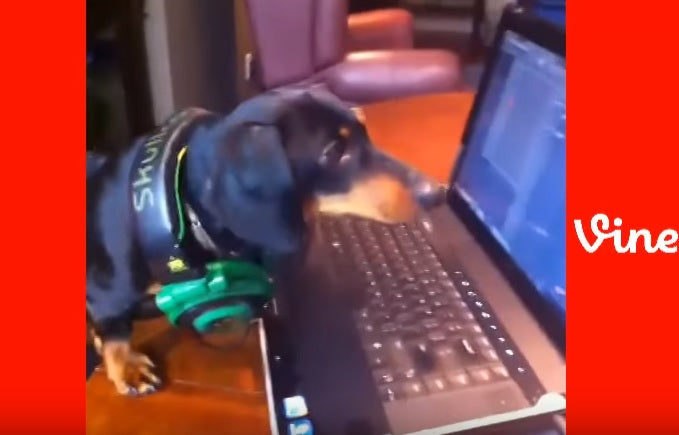 All New Crusoe Vines As You’ve Never Seen Him Before!