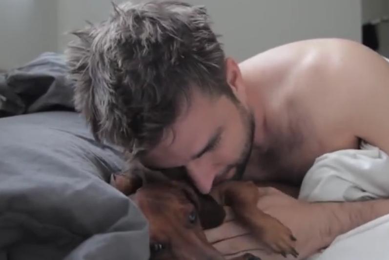 Awesome Video! Dog Sitter Cuddles In Bed With A Dachshund!