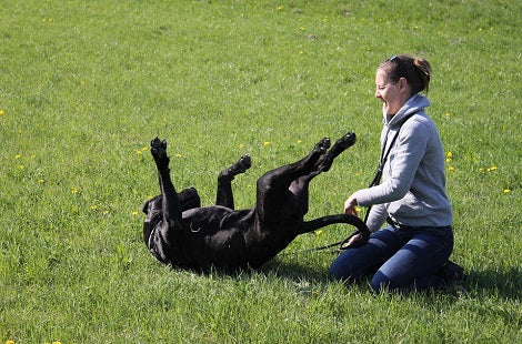Yes Your Pups Can Read Your Mind! Here Are 5 Ways How!