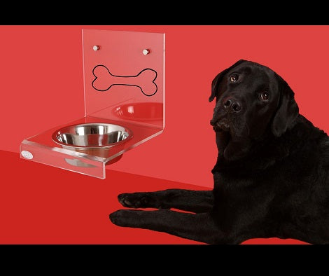 New Study Reveals Most Dog Parents Don't Wash Their Dog's Food Bowl Enough