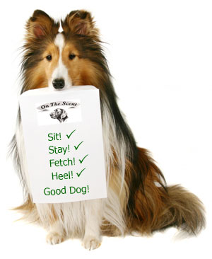 Want To Train Your Fur Babies? Here's A 101 On Effective Dog Training Tips!