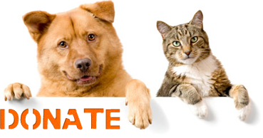 [Alert] Arizona Humane Society In Need For Ground Canned Dog And Cat Food