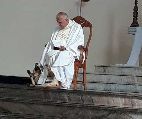 Adorably Playful Pup Crashes Church Service Leaving The Priest With The Best Reaction!