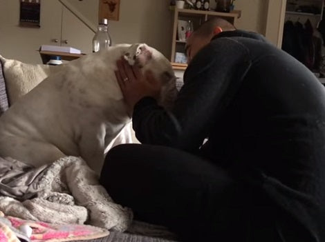 Wait Till You See How This Pup Absorbs All The Love Daddy Has To Give!