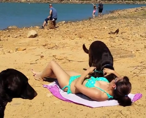 Mom Wants To Sunbathe With Her Pup, But Things Just Got Hilarious!