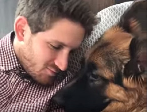 Watch How This Adorable Pup Copies His Dad Like A Boss!