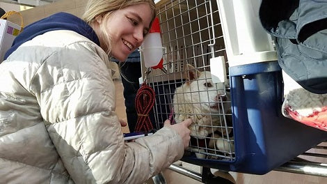 Olympic Snowboarder Helps South Korean Rescue Dog Find A New Loving Home!