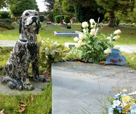 NYC Passes Law That Allows Loving Pups To Be Buried Beside Their Humans At Cemeteries