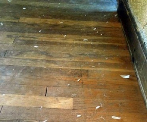 This Mom's Crime Scene Photos Are Going To Make You Laugh!