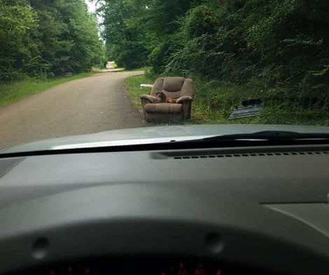 Someone Abandoned This Poor Puppy In The Middle Of Nowhere With A Chair And TV