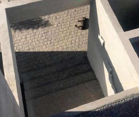 Heartbroken Pup Sleeps Outside A Family's House In The Hopes Someone Notices Her