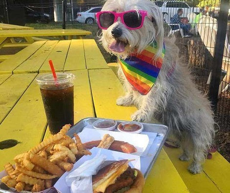 Are You A Professional Dog Cuddler? This Restaurant Pays $100 An Hour To Dog Cuddlers!