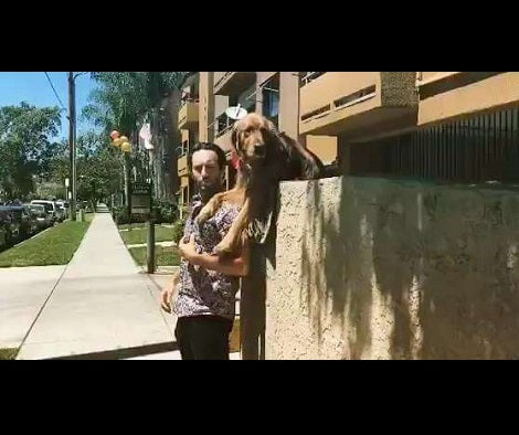 Watch What This Adorable Pup Does To Make Strangers Play With Her! This Is Too Cute!